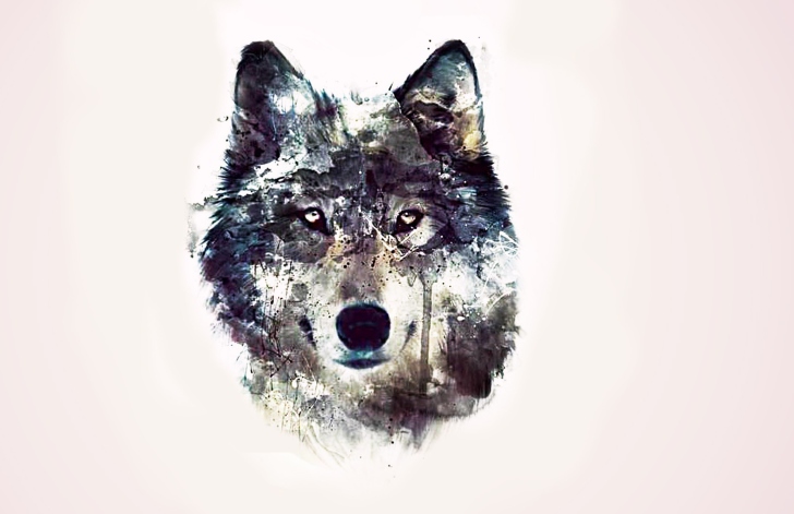 Fondo de pantalla Wolf Art