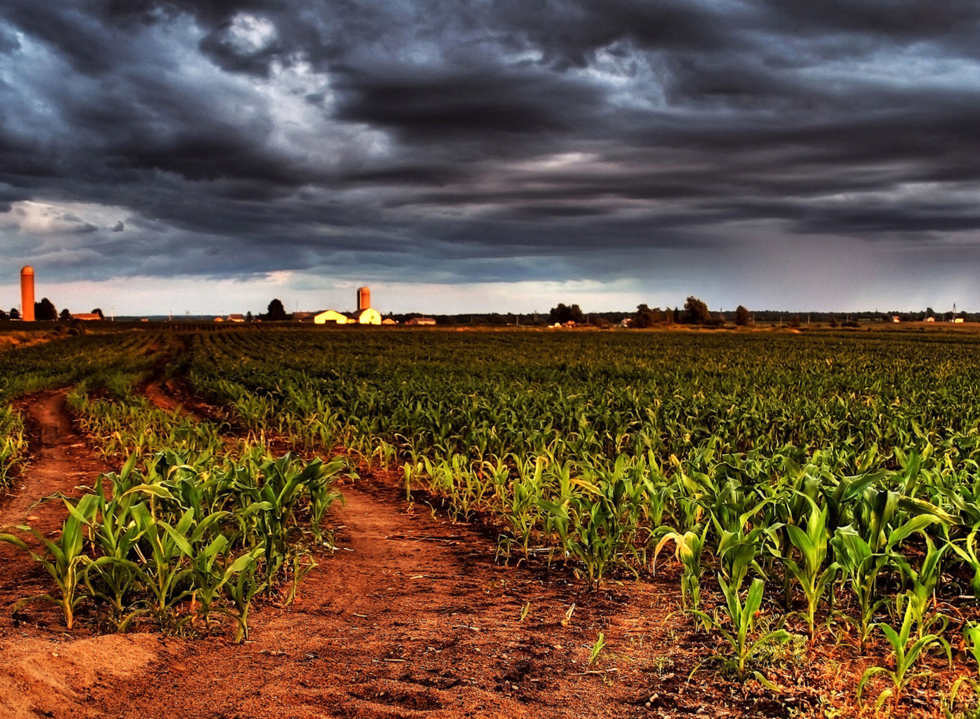 Обои Field In Chile 1920x1408