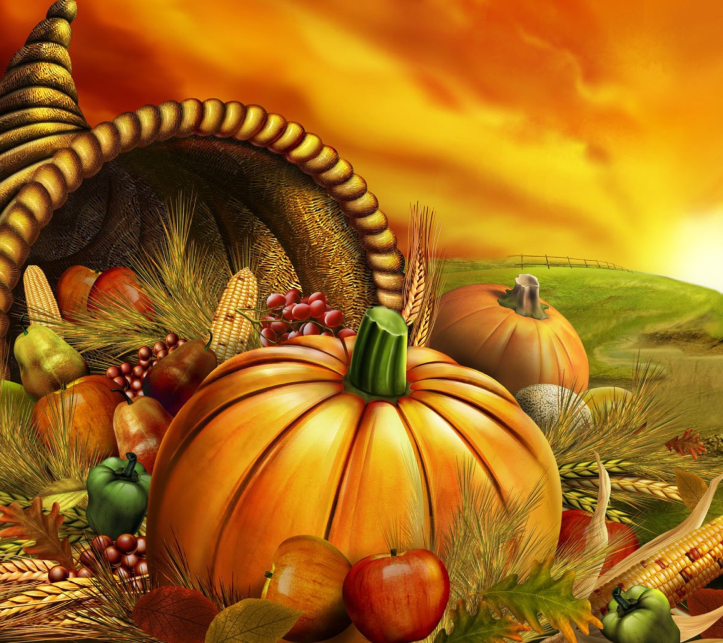 Обои Thanksgiving Pumpkin 1440x1280