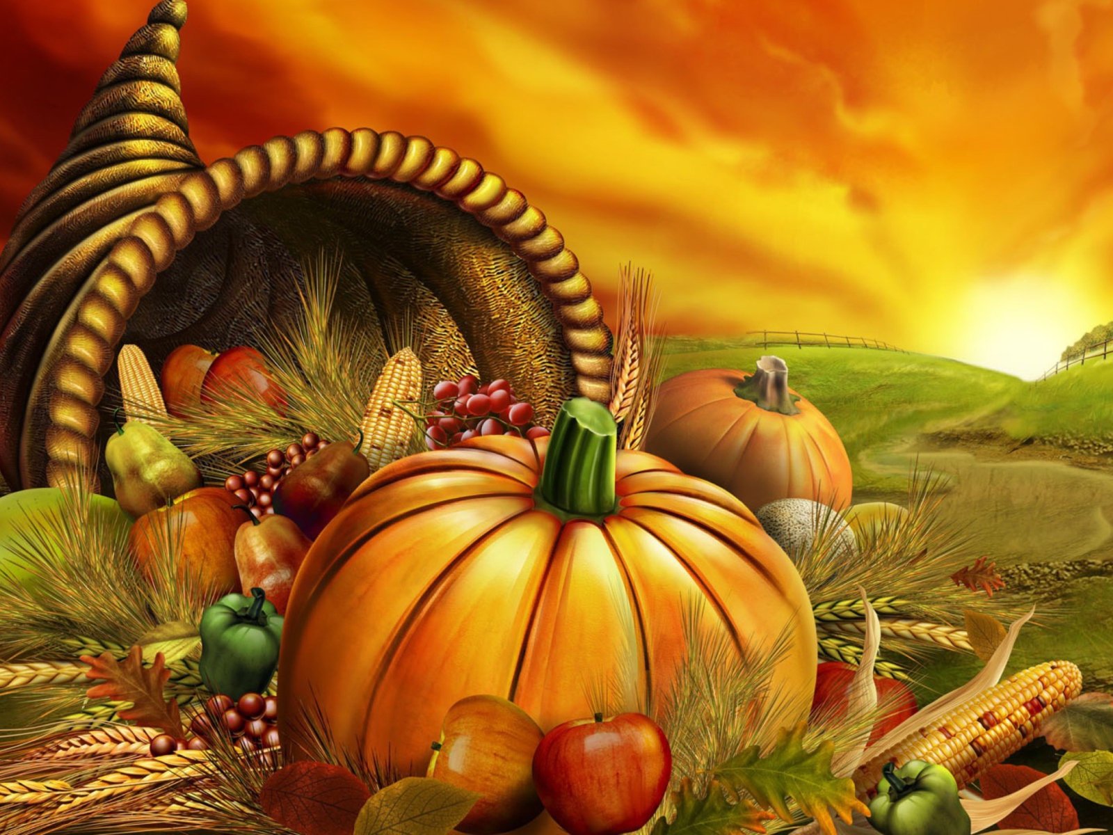 Das Thanksgiving Pumpkin Wallpaper 1600x1200