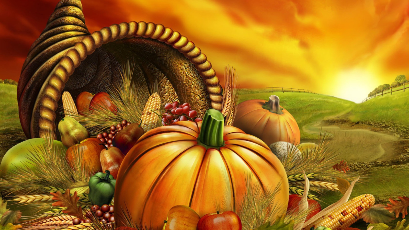 Das Thanksgiving Pumpkin Wallpaper 1600x900