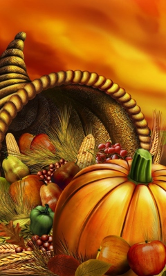 Das Thanksgiving Pumpkin Wallpaper 240x400
