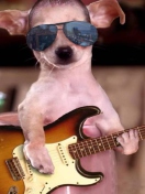 Screenshot №1 pro téma Funny Dog With Guitar 132x176
