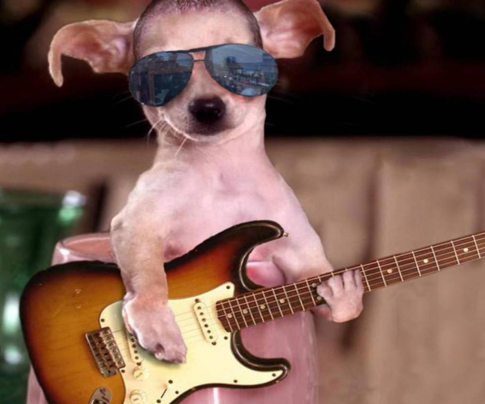 Funny Dog With Guitar screenshot #1 960x800