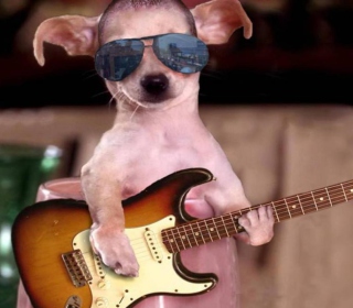 Kostenloses Funny Dog With Guitar Wallpaper für iPad mini