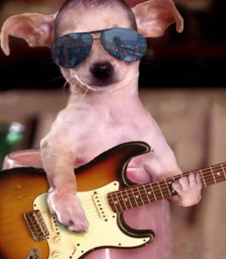Funny Dog With Guitar - Obrázkek zdarma pro Nokia Asha 305