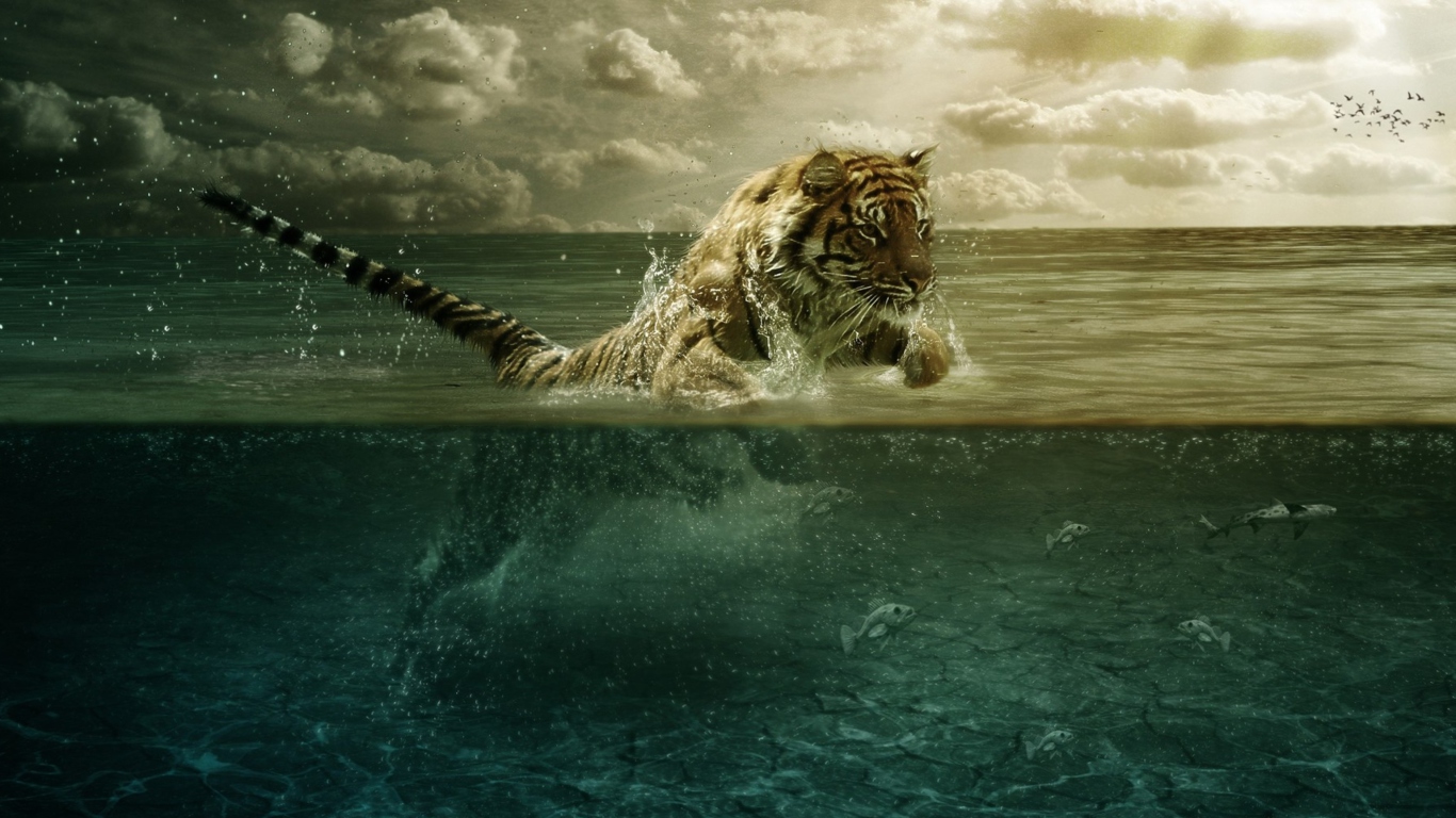 Tiger Jumping Out Of Water wallpaper 1366x768