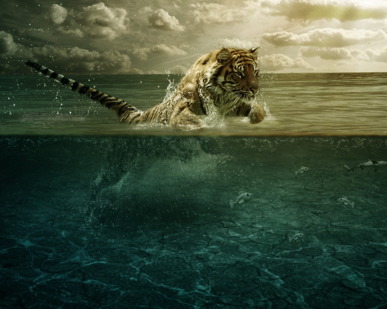 Fondo de pantalla Tiger Jumping Out Of Water 1600x1280