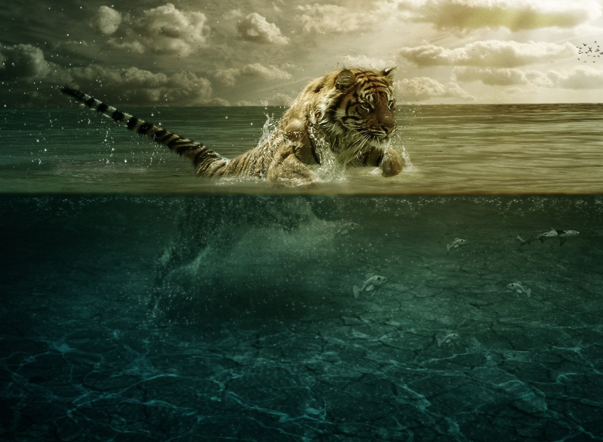 Tiger Jumping Out Of Water wallpaper 1920x1408
