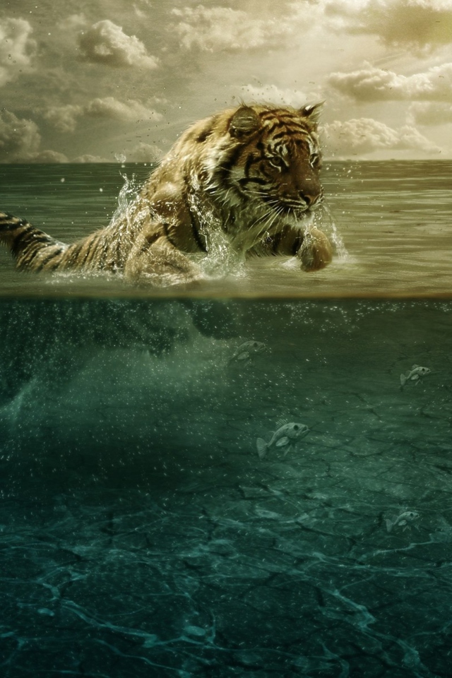 Tiger Jumping Out Of Water wallpaper 640x960