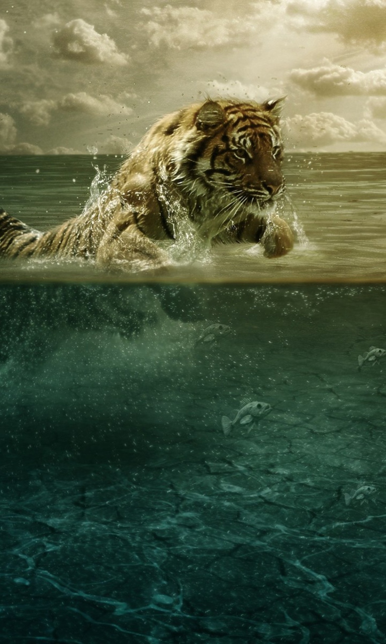 Обои Tiger Jumping Out Of Water 768x1280