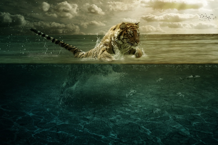 Screenshot №1 pro téma Tiger Jumping Out Of Water