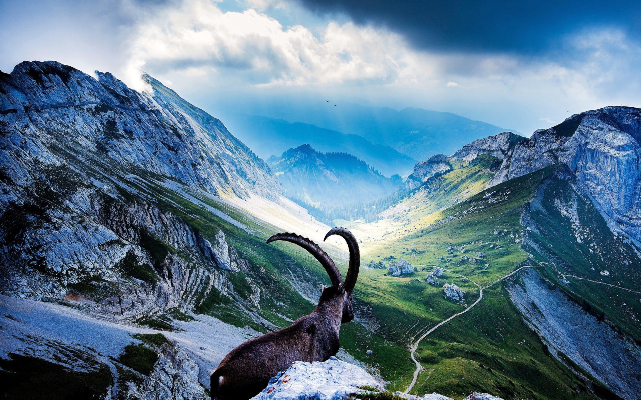 Screenshot №1 pro téma Mountains and Mountain Goat 1280x800