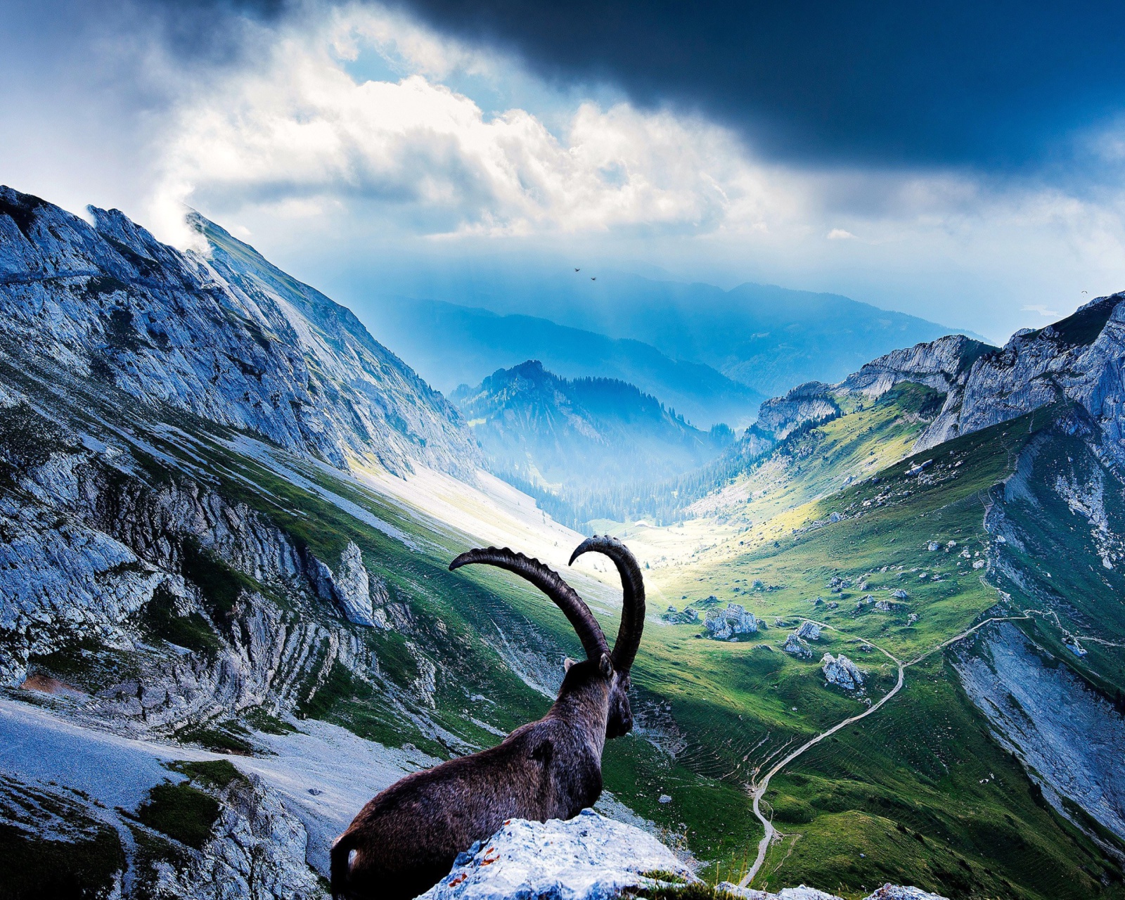 Screenshot №1 pro téma Mountains and Mountain Goat 1600x1280