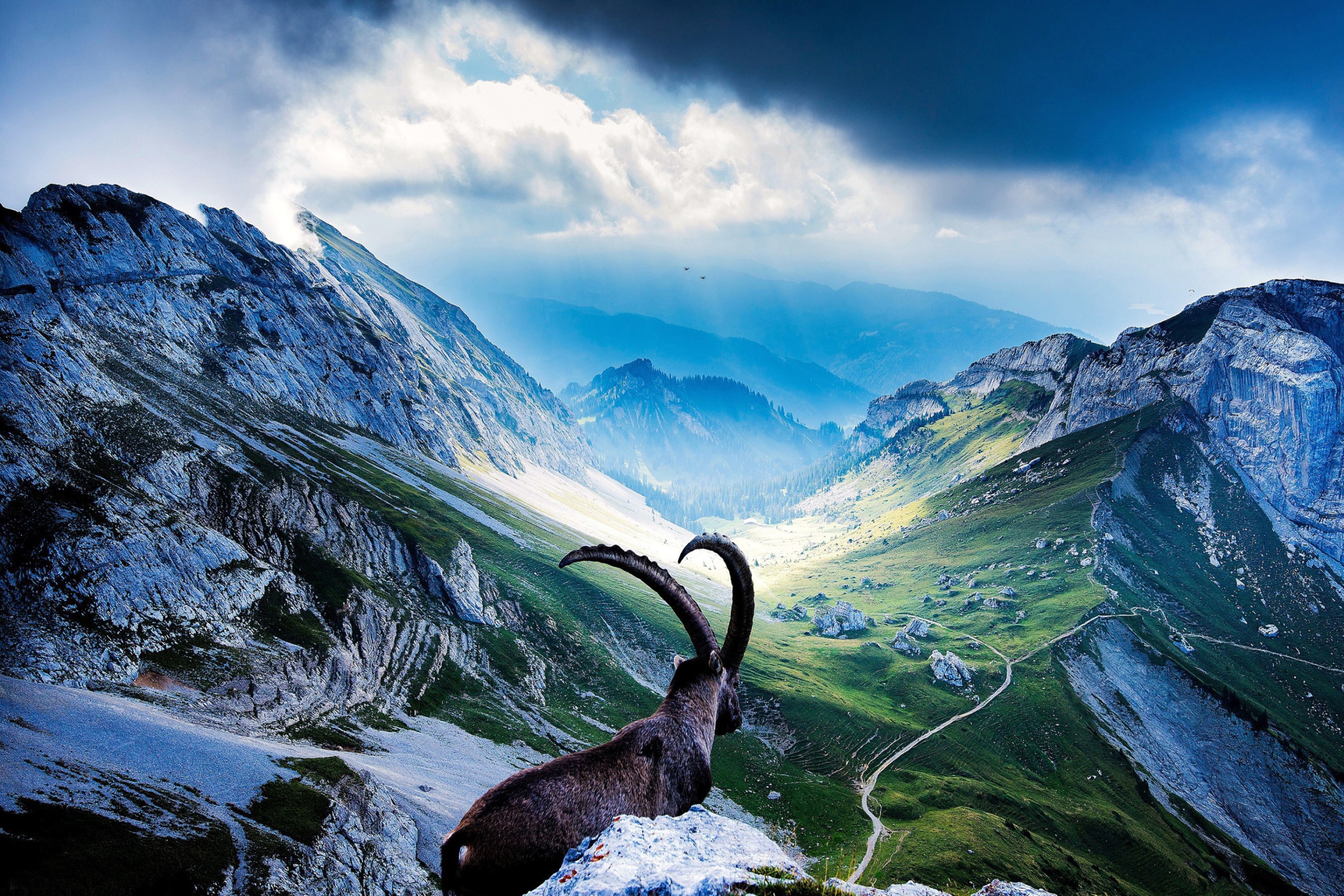 Screenshot №1 pro téma Mountains and Mountain Goat 2880x1920