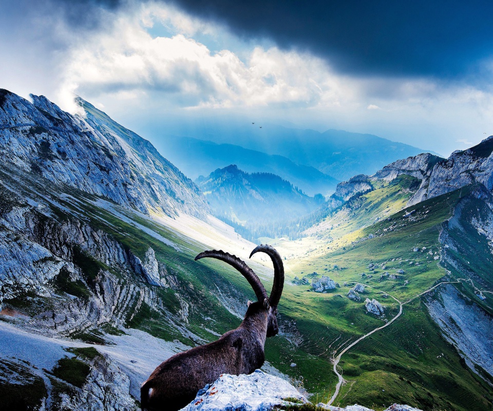 Fondo de pantalla Mountains and Mountain Goat 960x800