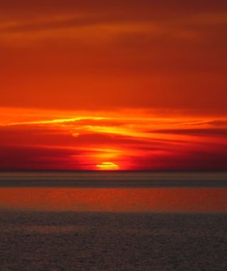 Bloody Sunset - Obrázkek zdarma pro 480x800