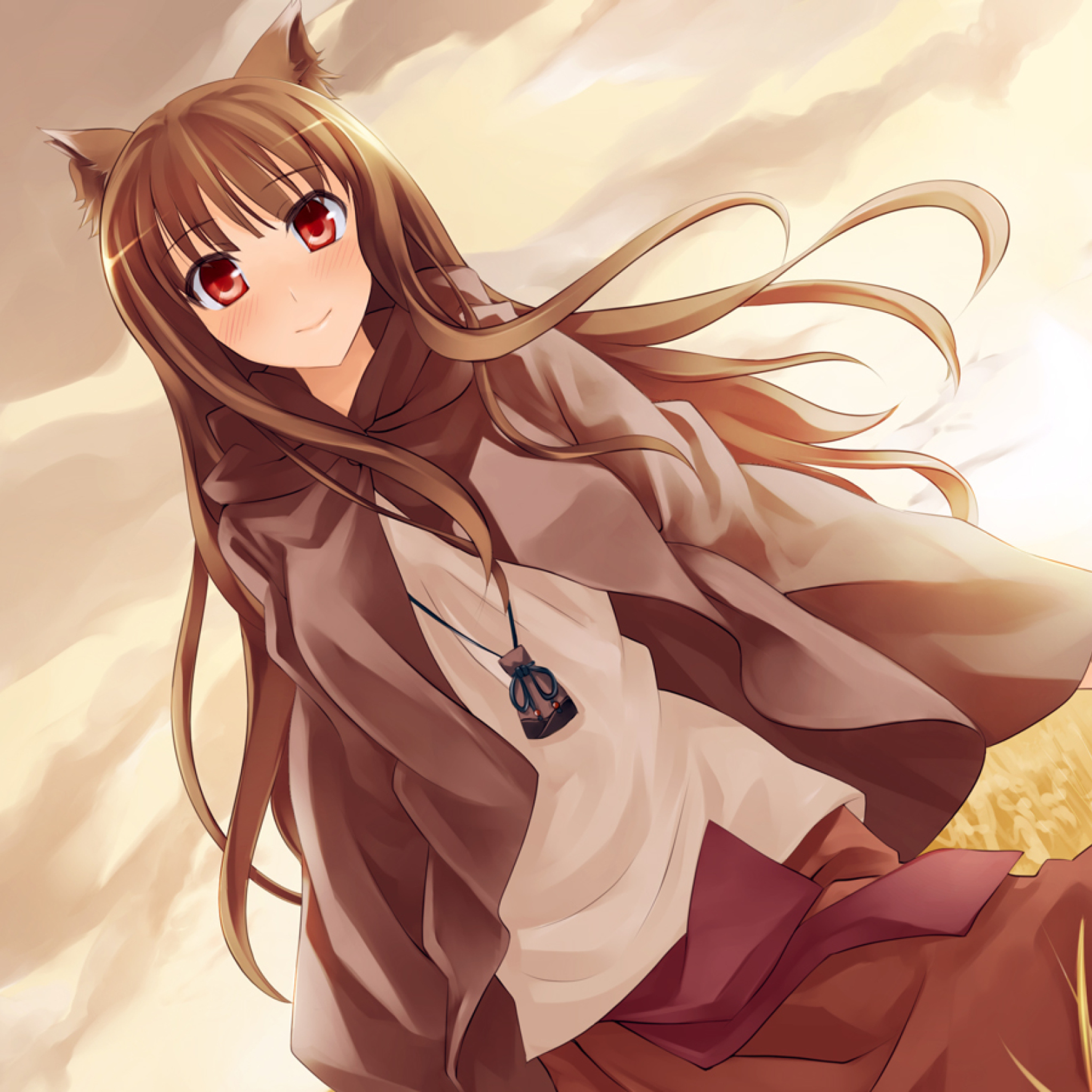 Screenshot №1 pro téma Smile Spice And Wolf 2048x2048