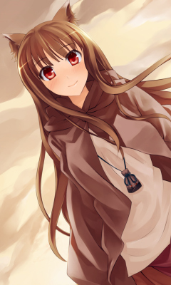 Smile Spice And Wolf wallpaper 240x400