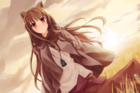 Smile Spice And Wolf wallpaper 480x320