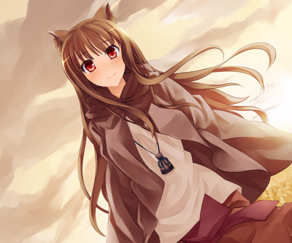 Screenshot №1 pro téma Smile Spice And Wolf 960x800