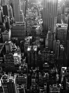 New York City screenshot #1 240x320