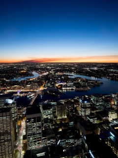 Sydney Night Lights screenshot #1 240x320