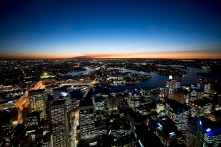 Sydney Night Lights - Obrázkek zdarma pro 480x320