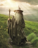 Screenshot №1 pro téma Gandalf - Lord of the Rings Tolkien 128x160