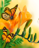 Обои Orange Butterflies - Chlosyne gabbii 128x160
