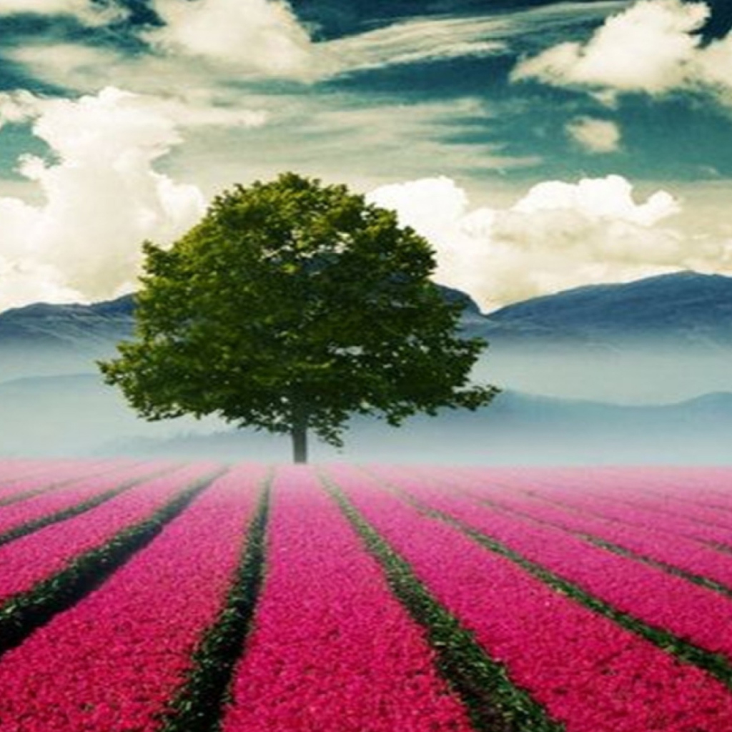 Screenshot №1 pro téma Beautiful Landscape With Tree And Pink Flower Field 1024x1024