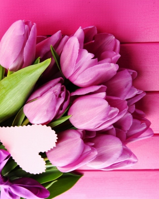 Purple Tulips - Obrázkek zdarma pro iPhone 5S