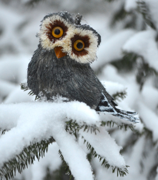 Funny Fluffy Eyes Owl - Obrázkek zdarma pro Nokia Asha 308