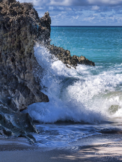 Rocks And Ocean Waves wallpaper 240x320