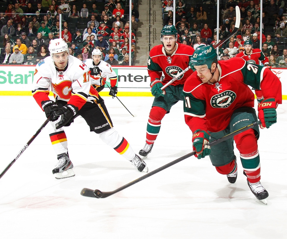 Minnesota Wild screenshot #1 960x800