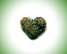 Обои Weed Heart 220x176