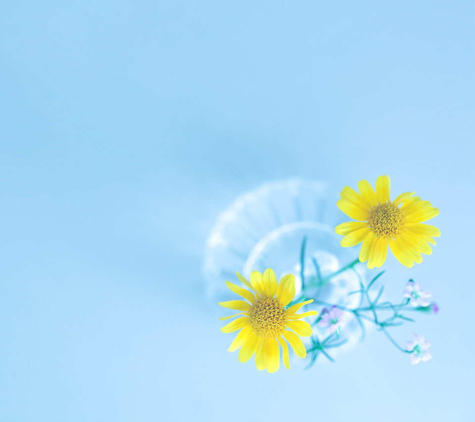 Screenshot №1 pro téma Simple flower in vase 960x854