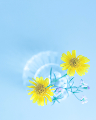 Simple flower in vase - Fondos de pantalla gratis para 640x960