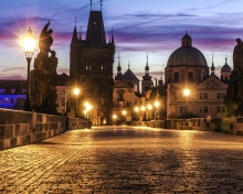 Das Prague Charles Bridge Wallpaper 220x176