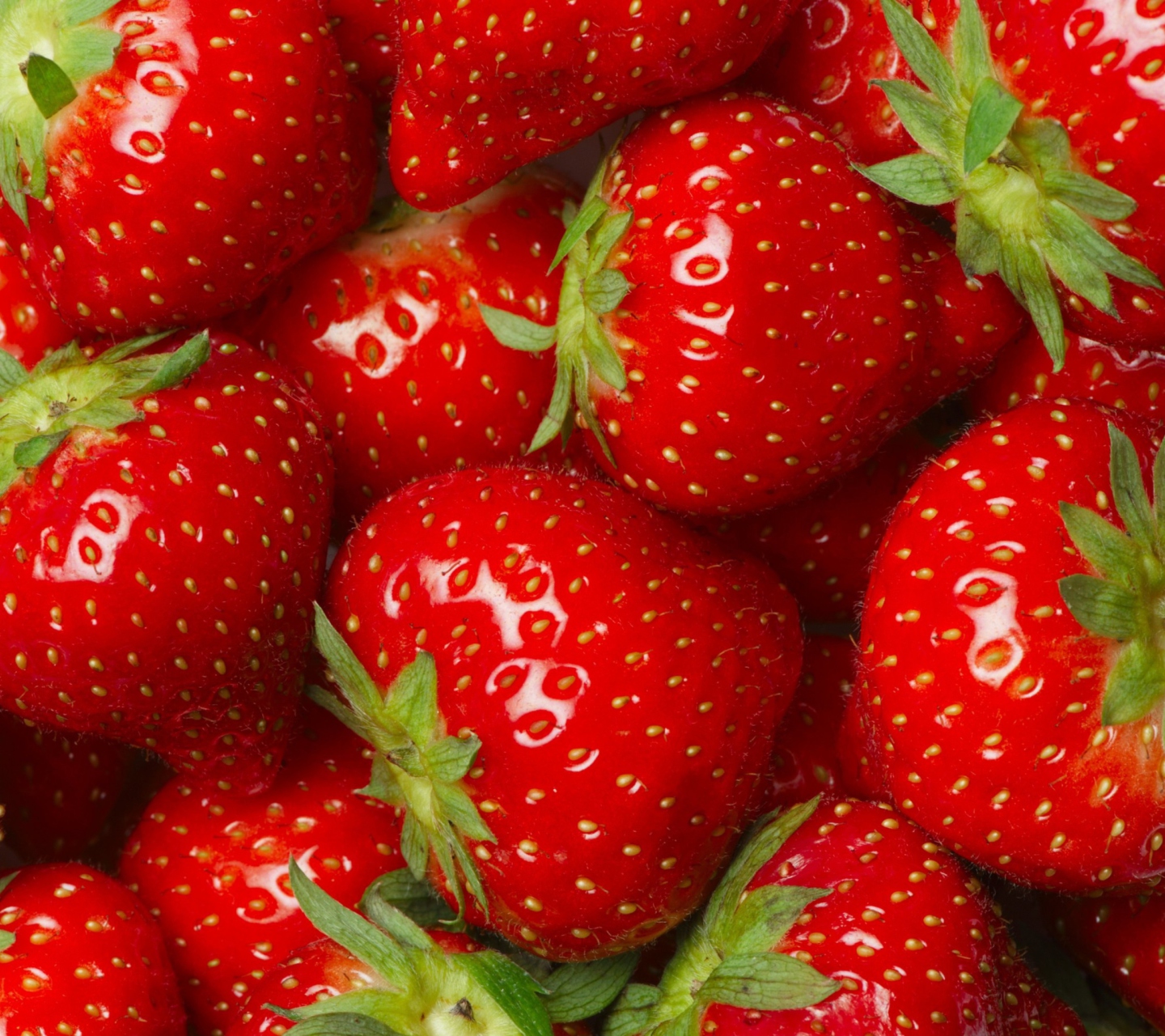 Fondo de pantalla Juicy Strawberries 1440x1280