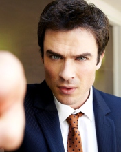 Screenshot №1 pro téma Handsome Ian Somerhalder 176x220