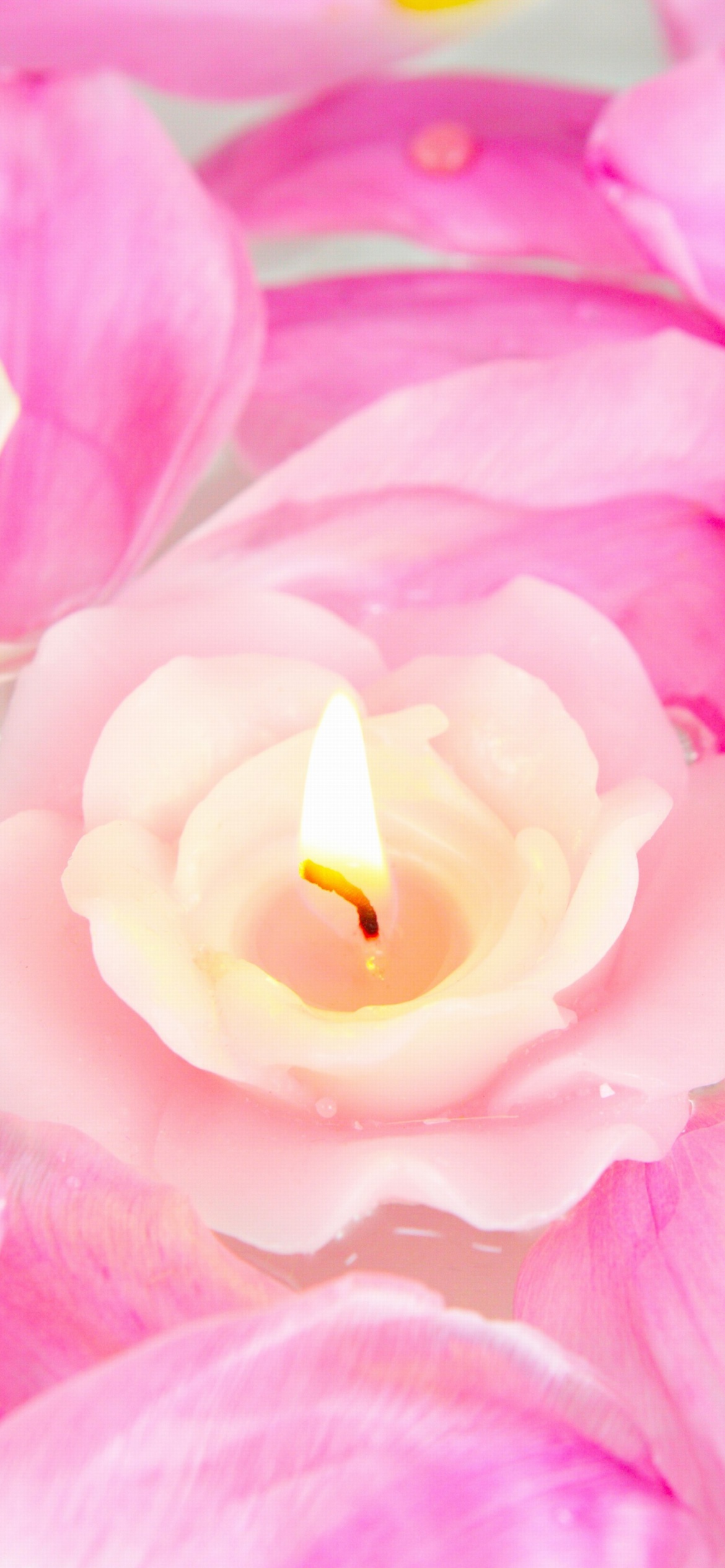 Sfondi Candle on lotus petals 1170x2532