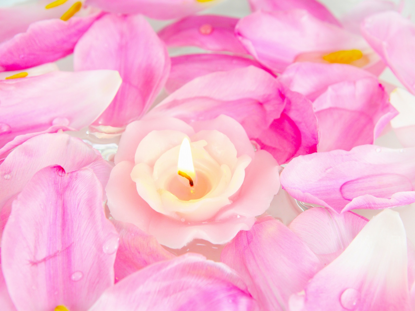 Candle on lotus petals wallpaper 1400x1050