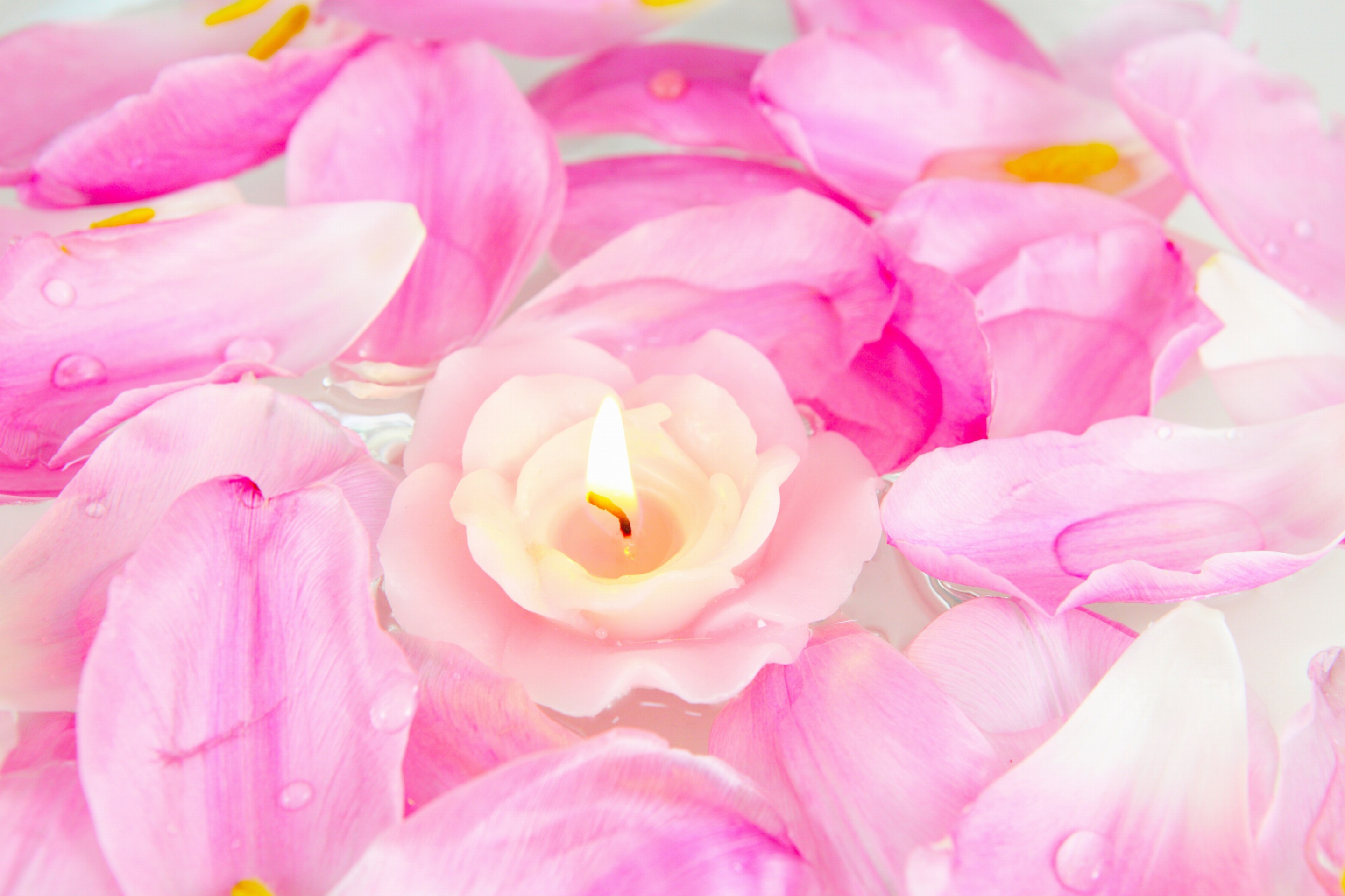 Обои Candle on lotus petals 2880x1920