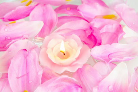 Candle on lotus petals wallpaper 480x320