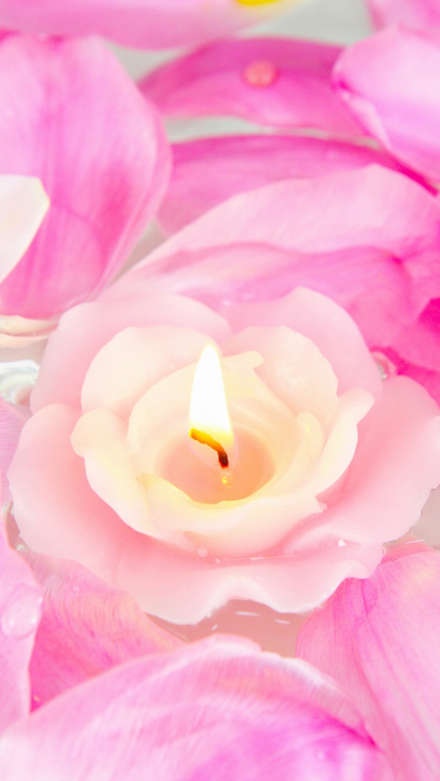 Candle on lotus petals wallpaper 640x1136