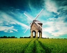 Das Windmill In Field Wallpaper 220x176