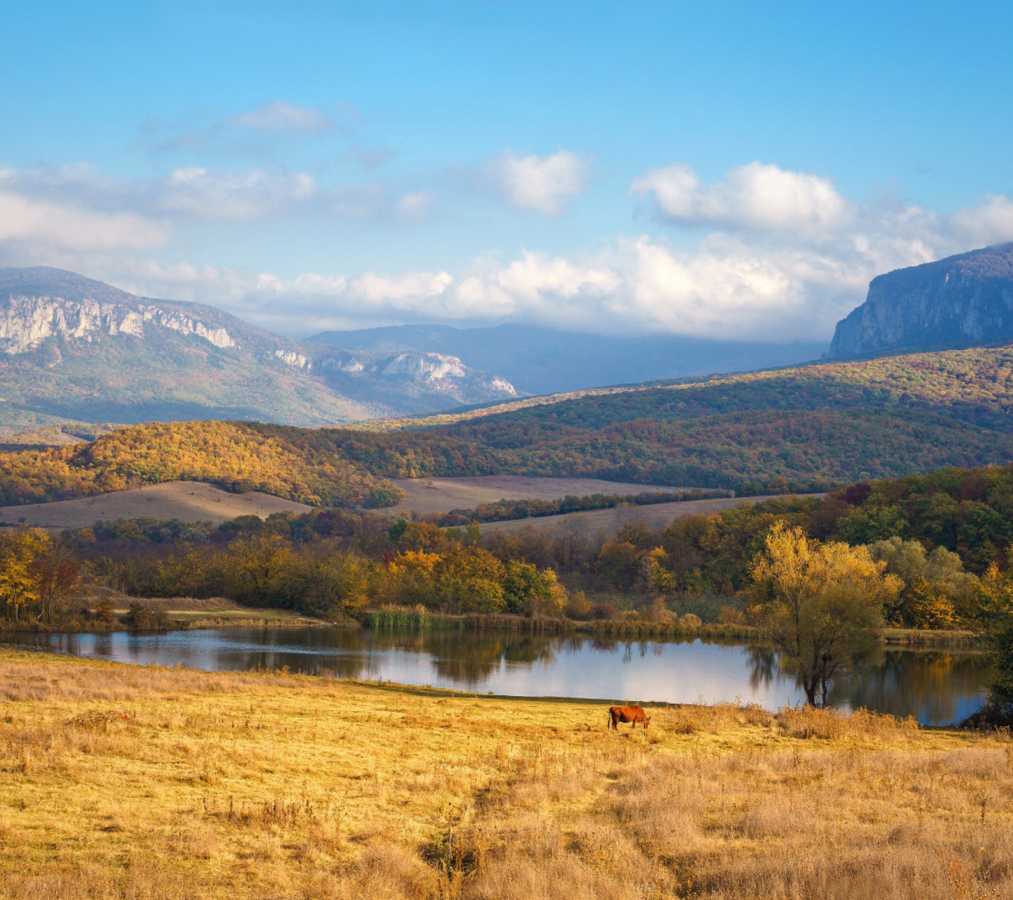 Sfondi River tranquility countryside 1440x1280