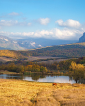 Обои River tranquility countryside 176x220