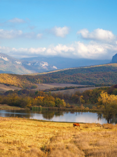 Обои River tranquility countryside 240x320